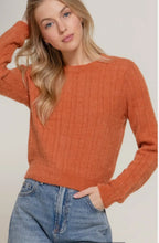 Load image into Gallery viewer, Long Sleeve Crew Neck Sweater