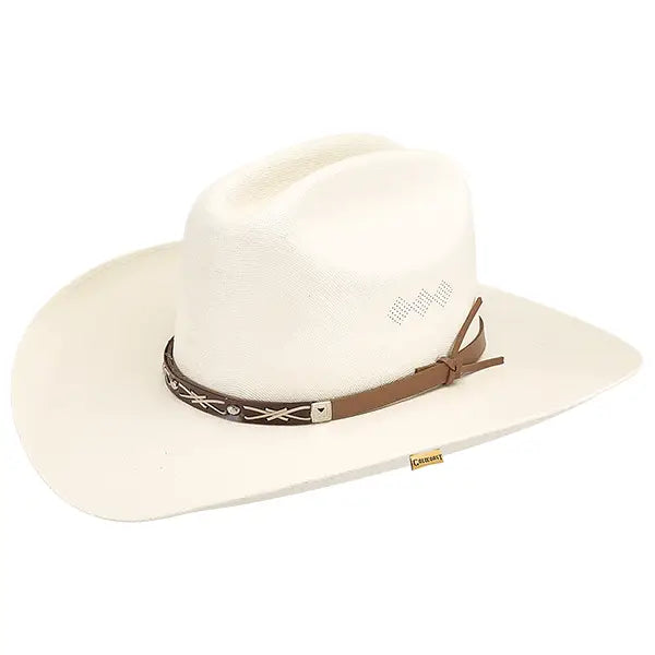 Wayne Paper Western Hat