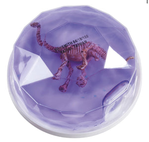 Dinosaur Fossil Putty, Reusable, Tactile, 3-1/2" Container