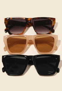 Acetate Frame Assorted Sunglasses