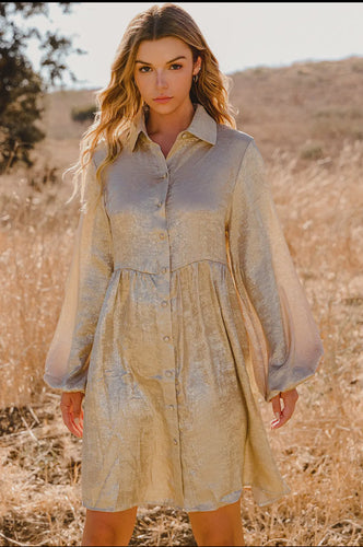 Fall Metallic Sheen Long Sleeve Button Up Mini Shirt Dress