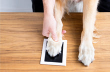 Load image into Gallery viewer, Pet Pawprint Clean-Touch Ink Pad, Medium/ Large, Black