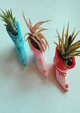 Load image into Gallery viewer, The Pink Pony Mini Planter