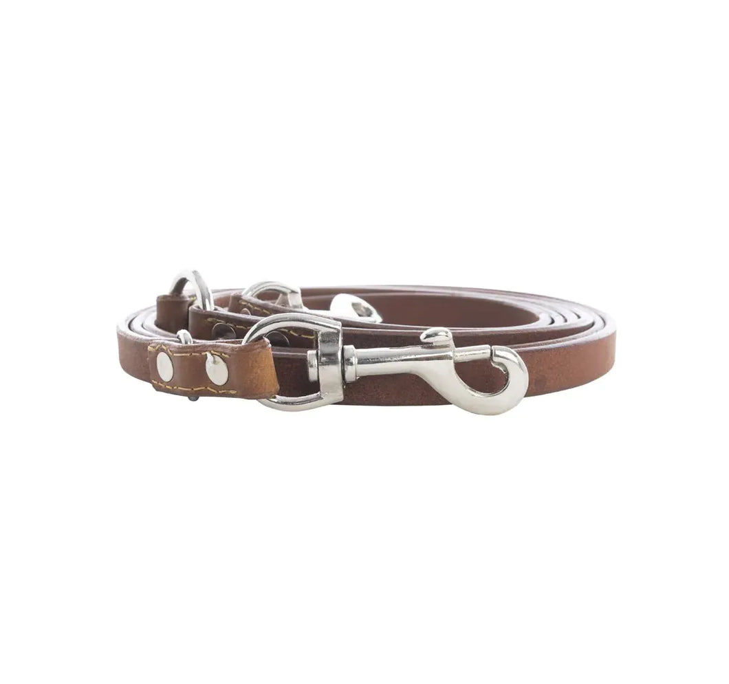 Viaje Dog Leash In Caramel