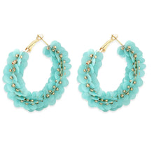 Load image into Gallery viewer, Shimmering Brooke Earrings