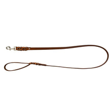 Load image into Gallery viewer, Explorer Leather Dog Leash