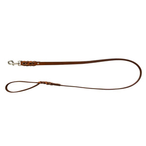 Explorer Leather Dog Leash