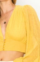 Load image into Gallery viewer, Crazy Love Swiss Dot V-neck Top