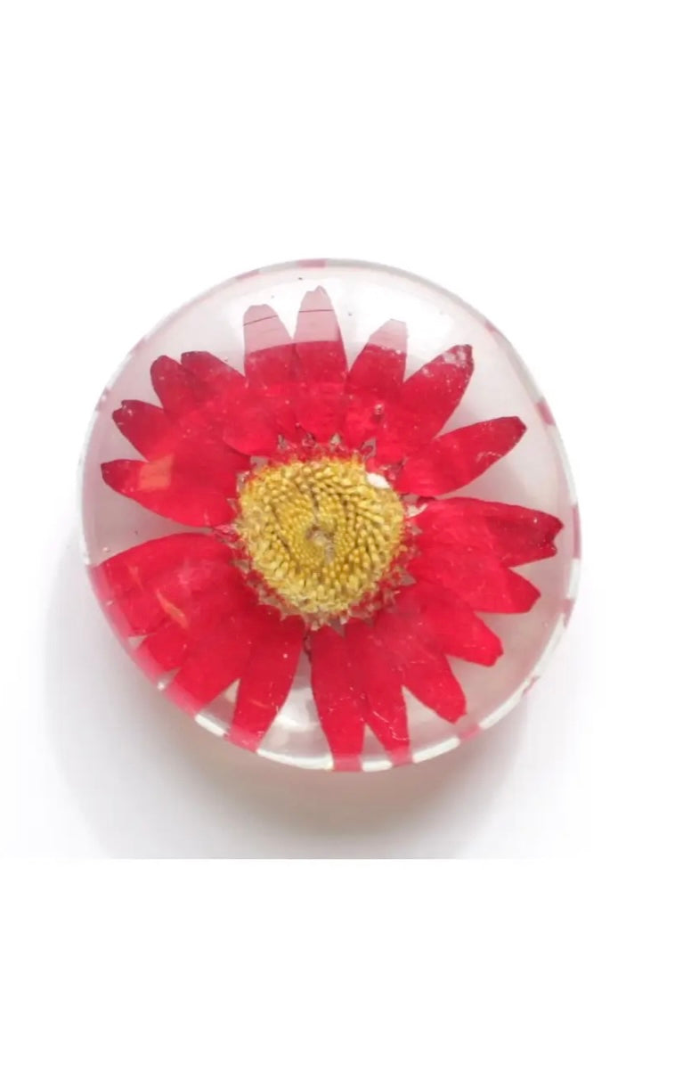 Real Flower Glass Magnet In Red